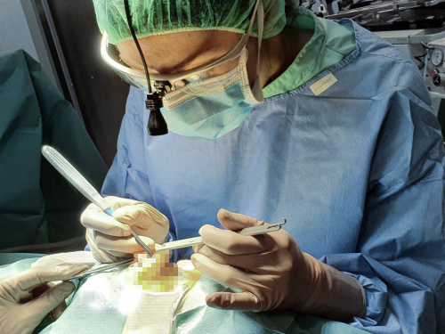 Rinoplastia Ultras�nica